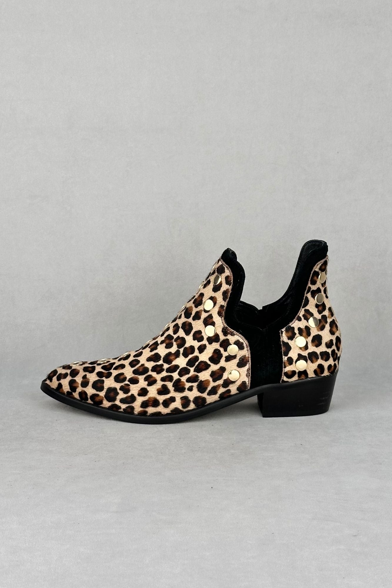 PUNKY LEOPARDO CLARO POTRO