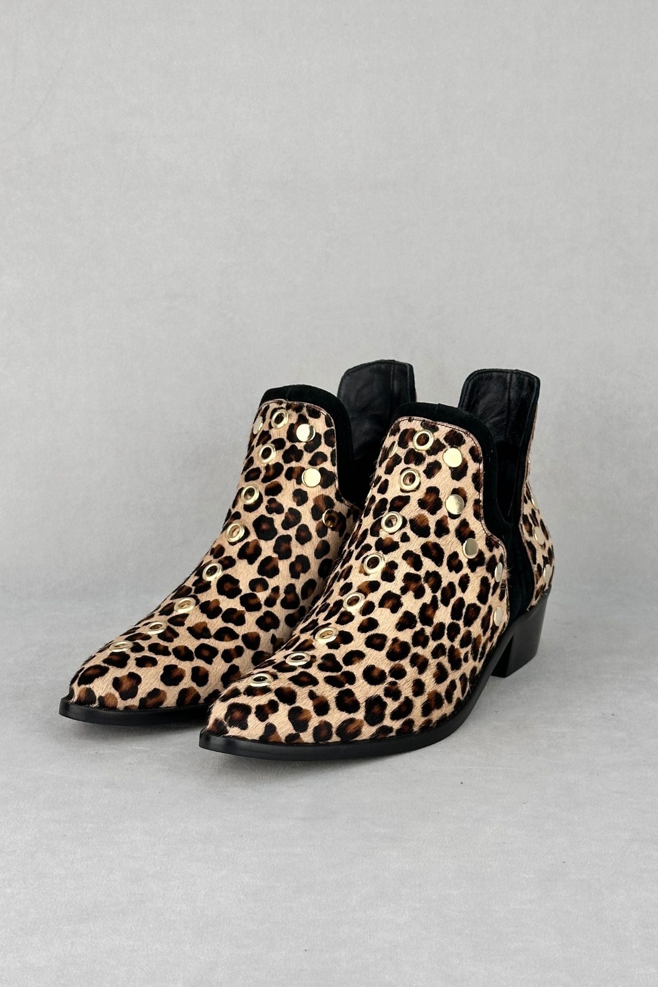 PUNKY LEOPARDO CLARO POTRO