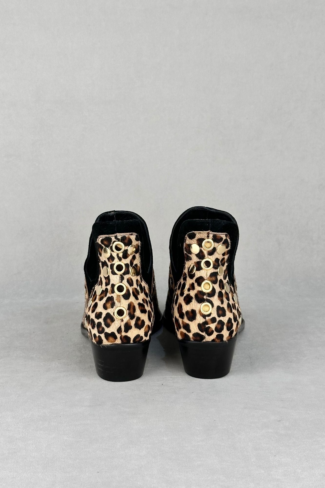 PUNKY LEOPARDO CLARO POTRO