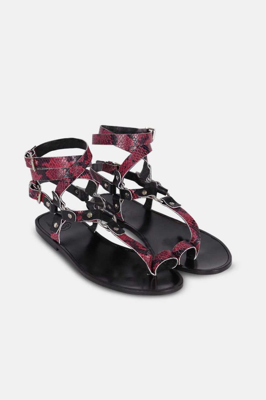 VIOLET SNAKE SLAVES